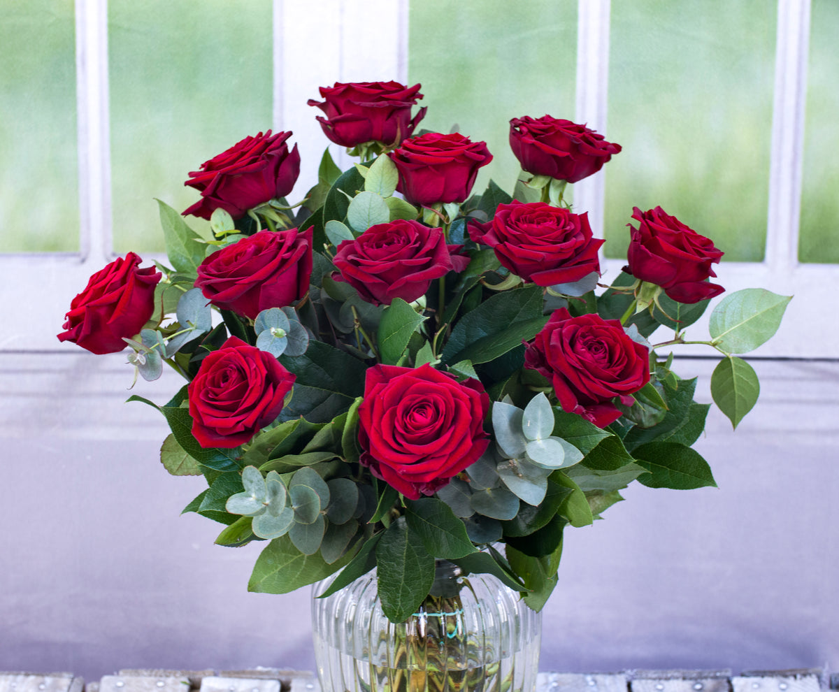 A Dozen Red Naomi Roses Nova Blooms UK