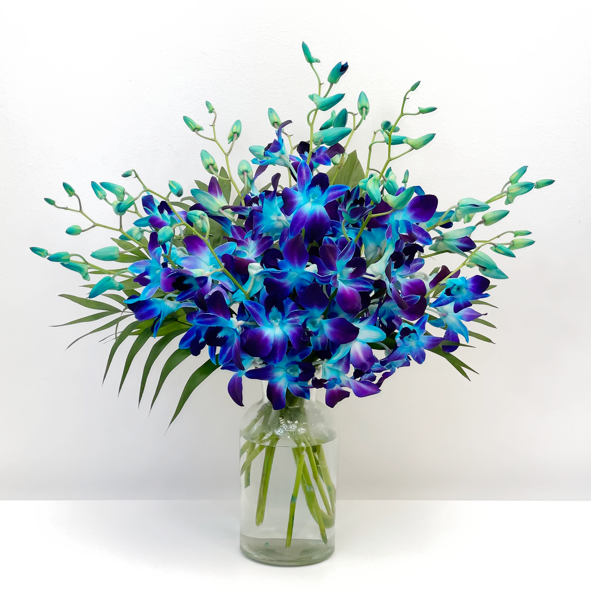 Blue dendrobium orchids store