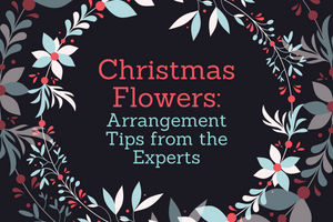 Christmas Flowers: Arrangement Tips from the Experts