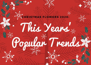 Christmas Flowers: This Years’ Popular Trends