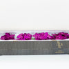 Cut Vanda Orchid Tayanee Cerise ( 4 Stems Box)