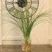 Bear Grass 70 cm