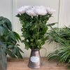 10 Anastasia White Chrysanths
