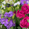 Summer Purples