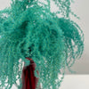 Df Miscanthus 70cm Aqua