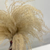 Df Miscanthus Dry Feather