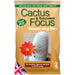 Cactus & Succulent Focus Repotting Mix Peat Free 2L