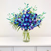 Galaxy Dendrobium Orchids - Blue