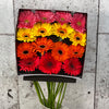 15 Gerbera Mix
