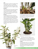 Growing Orchids at Home Book