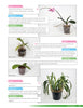 Growing Orchids at Home Book
