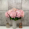 10 Verena Pink Hydrangea