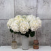 10 White Hydrangea Ice Age