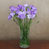 Lilac Freesia