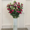 10 Eustoma Du Rosita Rose