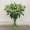 10 Alstroemeria Charmelia Pink
