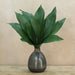 10 Aspidistra Leaves 60cm