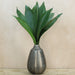 10 Aspidistra Leaves 80cm