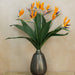 8 Strelitzia, Birds of Paradise