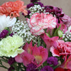 Mixed Pink Carnations & Alstroemeria