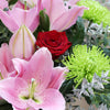 Wintry Pink