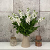 10 Matthiola Centrum White