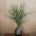 Olive foliage