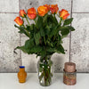 10 Rosa Confidential 60cm