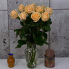 10 Rosa Gr Avalanche Peach