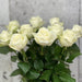10 Rosa Avalanche