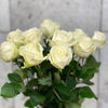 10 Rosa Avalanche