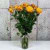 10 Rosa Catalunya