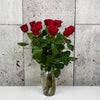 10 Rosa Red Naomi
