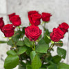 10 Rosa Red Naomi