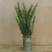 Rosemary Foliage