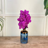 Cut Vanda Orchid Tayanee Cerise ( 4 Stems Box)