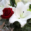 Wintry White