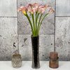 10 Zantedeschia Caption Rosetto