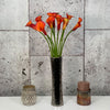 10 Zantedeschia Odeon