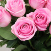 Valentine's Luxury Pink Roses