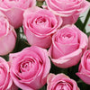 Valentine's Luxury Pink Roses