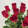 12 Red Roses Letterbox