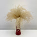 Df Miscanthus Dry Feather