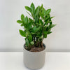 Lisbon Pot Cover Light Gray D15H14