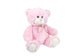 9-inch Pink Teddy Bear