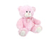 9-inch Pink Teddy Bear